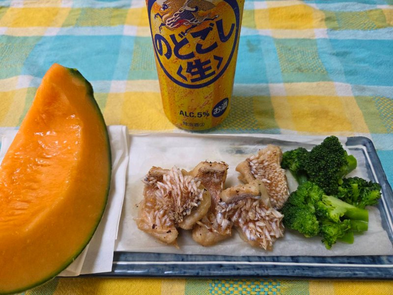 釣果写真