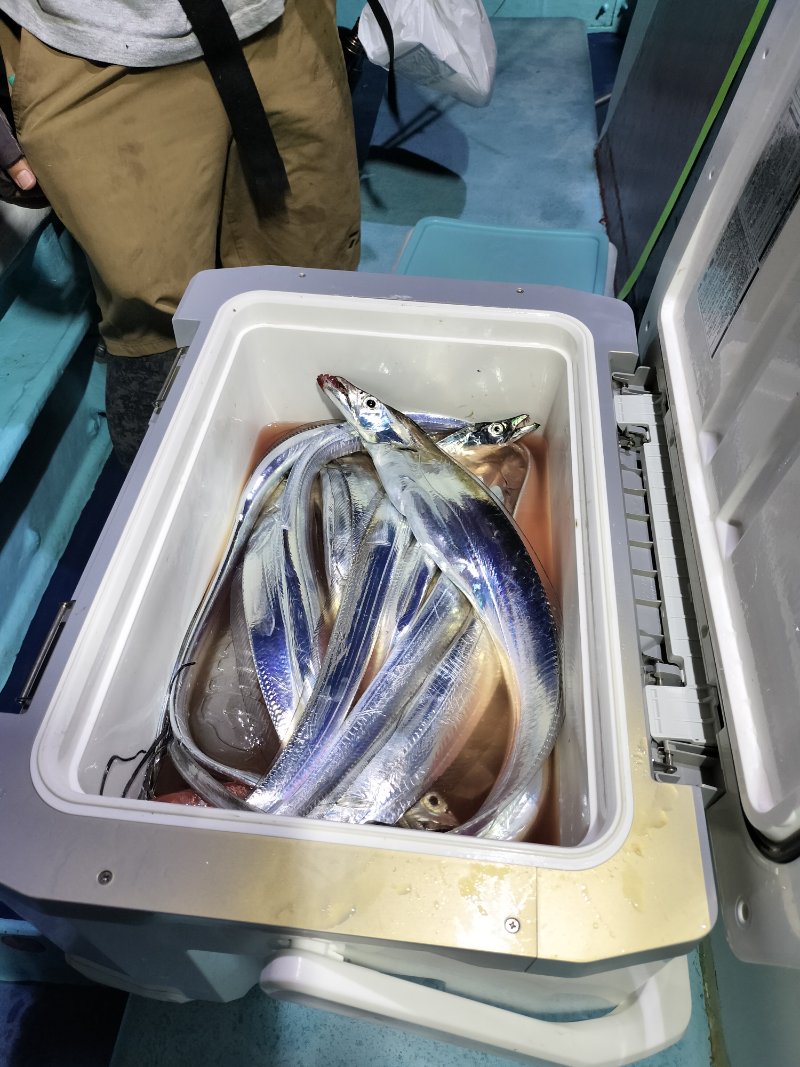 釣果写真