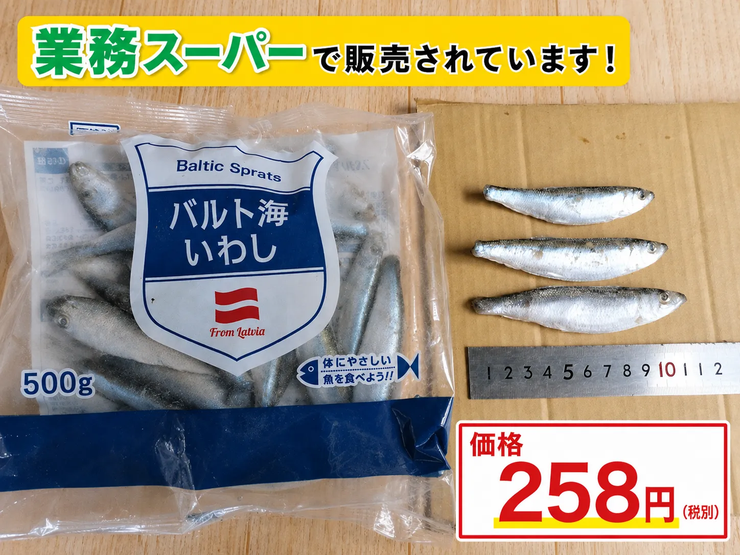 釣果写真