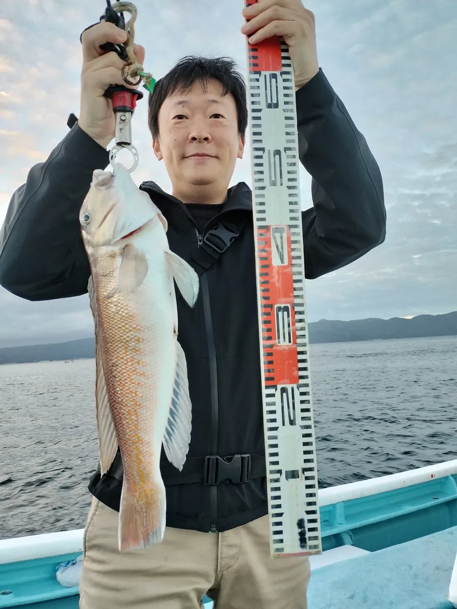 アマダイの釣果