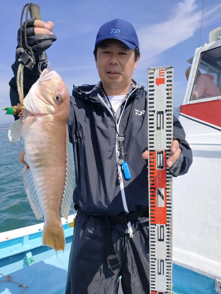 アマダイの釣果