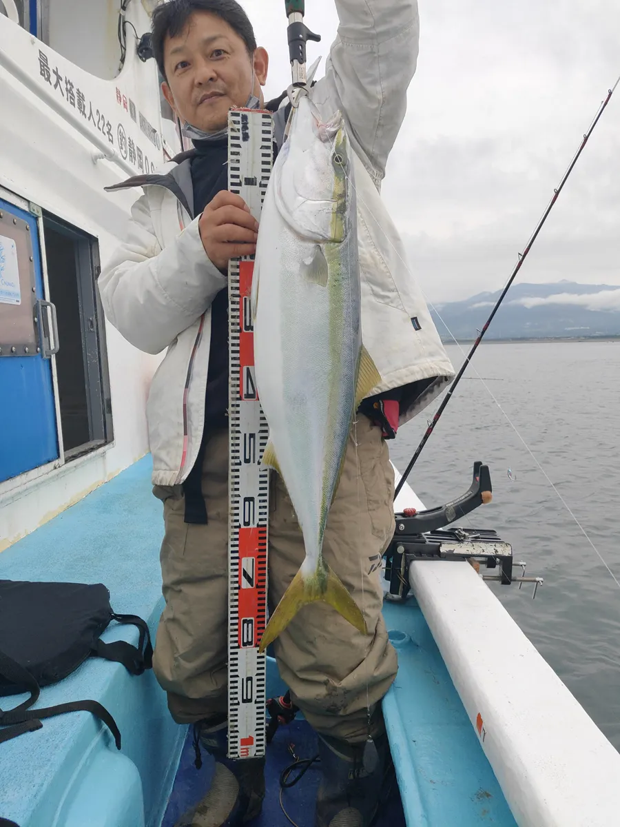 ワラサの釣果