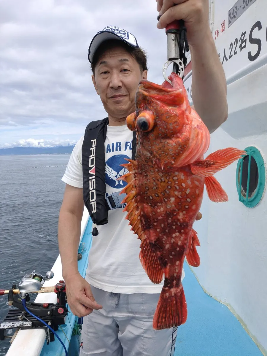 大型オニカサゴの釣果